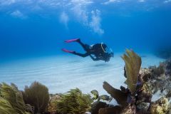 OW-diver-course-3_res