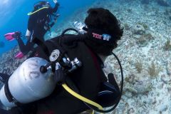 OW-diver-course-4_res