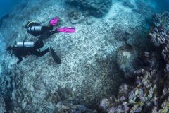 OW-diver-course-5_res