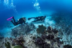 OW-diver-course-9_res