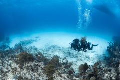 U_W-diver-specialty-course-4_res