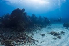 U_W-navigator-specialty-course-3_res