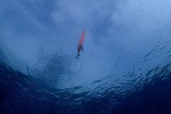 International-Dive-Master-Course-2