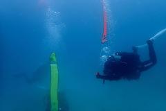 International-Dive-Master-Course-7