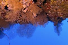 Rec-diving-10_res