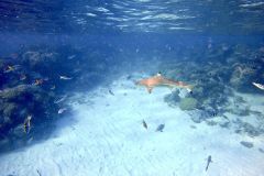 DCIM100GOPROGOPR1465.JPG