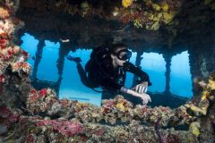 Wreck-diver-specialty-course-3_res