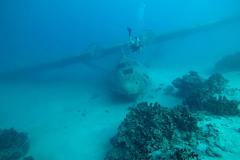 Wreck-diving-course