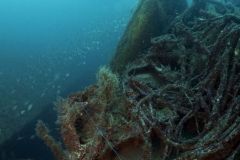 Dive-guide_Safety-diver-9_res