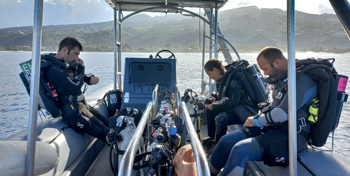 Team diving – Principles, Practice, and Safety